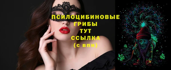 прущая мука Кадников