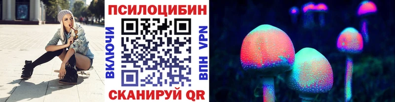 продажа наркотиков  Славянск-на-Кубани  Псилоцибиновые грибы Psilocybe 