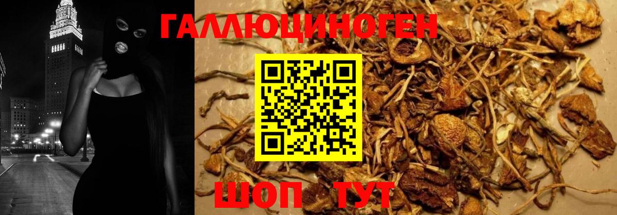 Галлюциногенные грибы мухоморы  Славянск-на-Кубани  Галлюциногенные грибы Psilocybine cubensis 