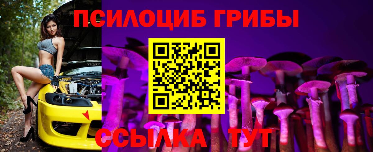 закладки  Вход с VPN  Славянск-на-Кубани  Галлюциногенные грибы Magic Shrooms 